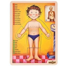 Woody Puzzle - lidské tělo