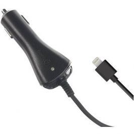 CELLY CCIP5