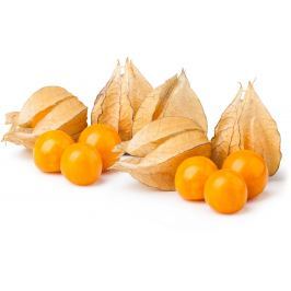 Mochyně/Physalis, vanička